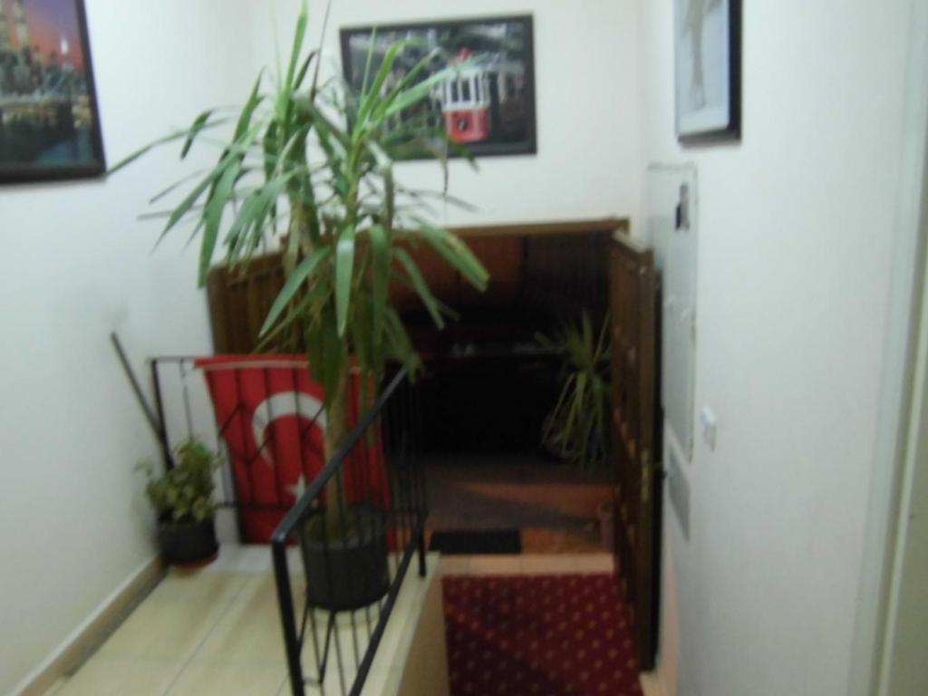 Cinar Hotel Antalya Ngoại thất bức ảnh